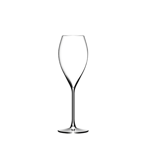 Lehmann - Excellence 21 Champagne Glass (210 ml) by Lehmann Glass - Alambika Canada