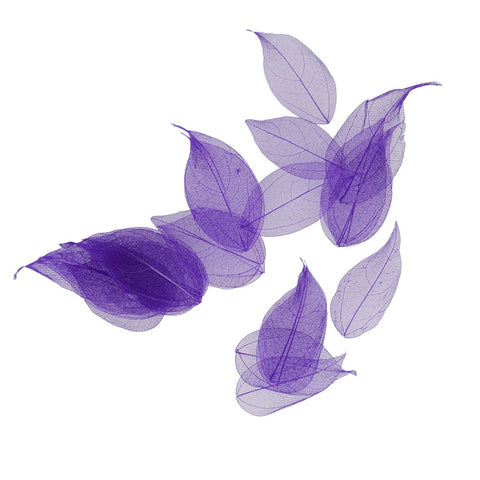 Dried Leaves- Magnolia (various colors) by Alkademie - Alambika Canada