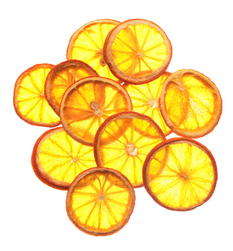 Dried Fruit - Orange Slices x 50 - Alambika Alambika Garnishes - Dried Fruit